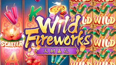 wild fireworks